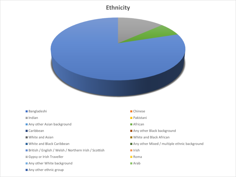 OTB Legal Ethnicity Pie Chart