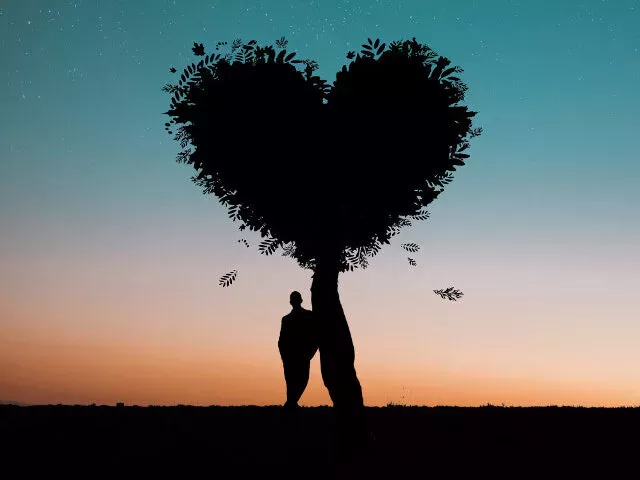 دل کے سائز کے درخت کے نیچے تنہا کھڑا ہونا