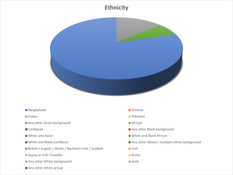 OTB Ethnicity Diversity Chart