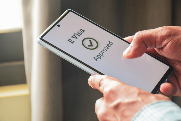 EVisa 2026