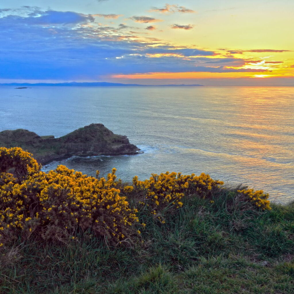 Scenic coast in Antrim. Immigration Lawyer Antrim