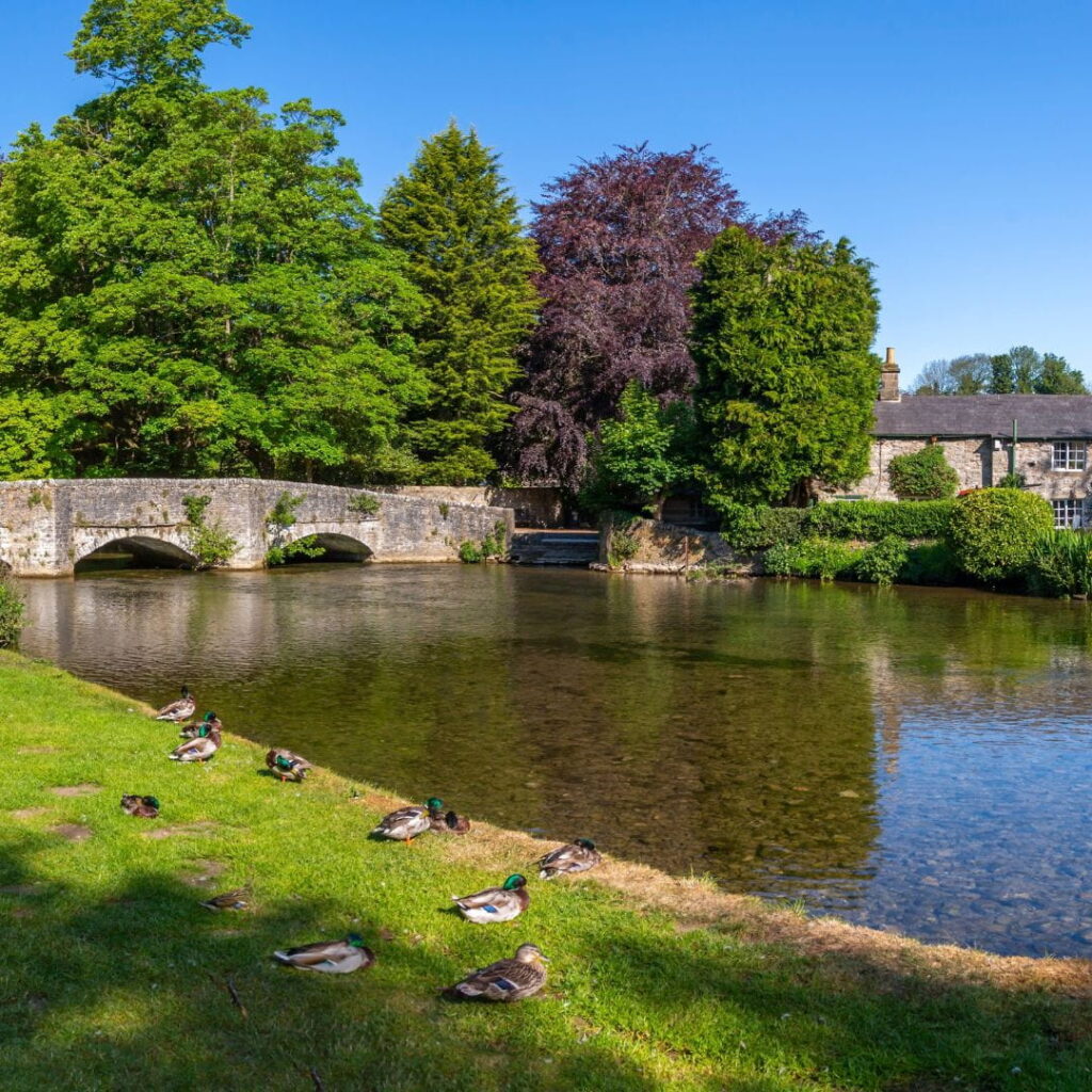 River in Ashford. Immigration Lawyer Ashford